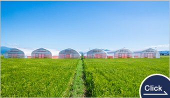 Vinyl Greenhouse