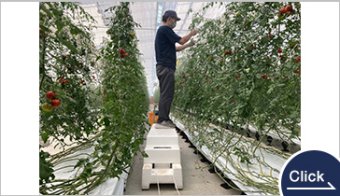 CP-668 Agri Stand