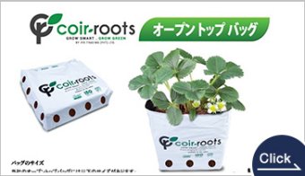 Open-Top Bag for Cultivation