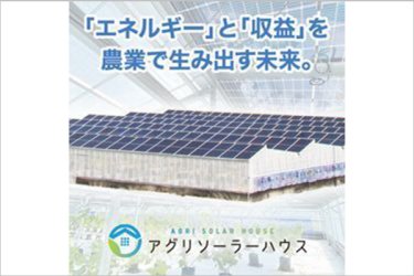 ネクストイノベーション 株式会社
