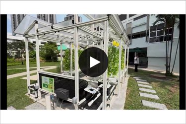 V-Plus Agritech