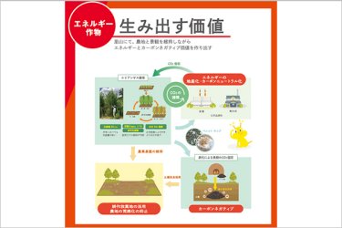 Electric Power Development CO., LTD.