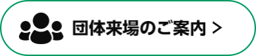 団体来場のご案内 >