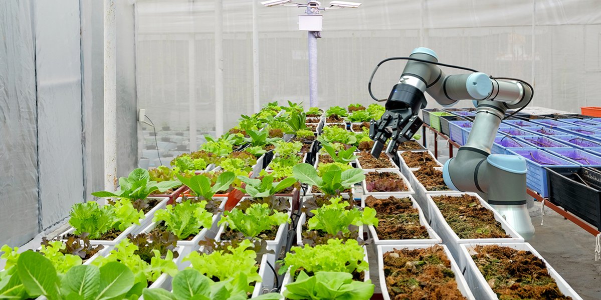 九州展】農作業の効率化・省力化 特集｜農業WEEK（J-AGRI-ジェイアグリ-）